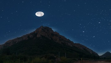 991772