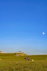 1009068