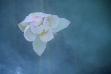 D952D339-8AF2-4E73-9F9B-77BF277F57EA/L0/001