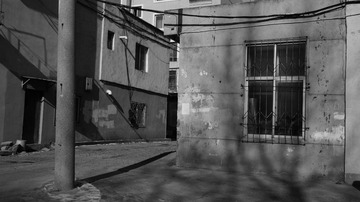 2010131
