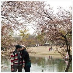 20110326-CF048209