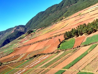 红土