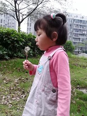 IMG_20130520_175836.jpg