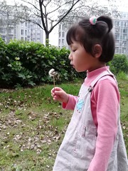 IMG_20130520_175815.jpg