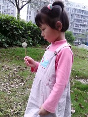 IMG_20130520_175832.jpg