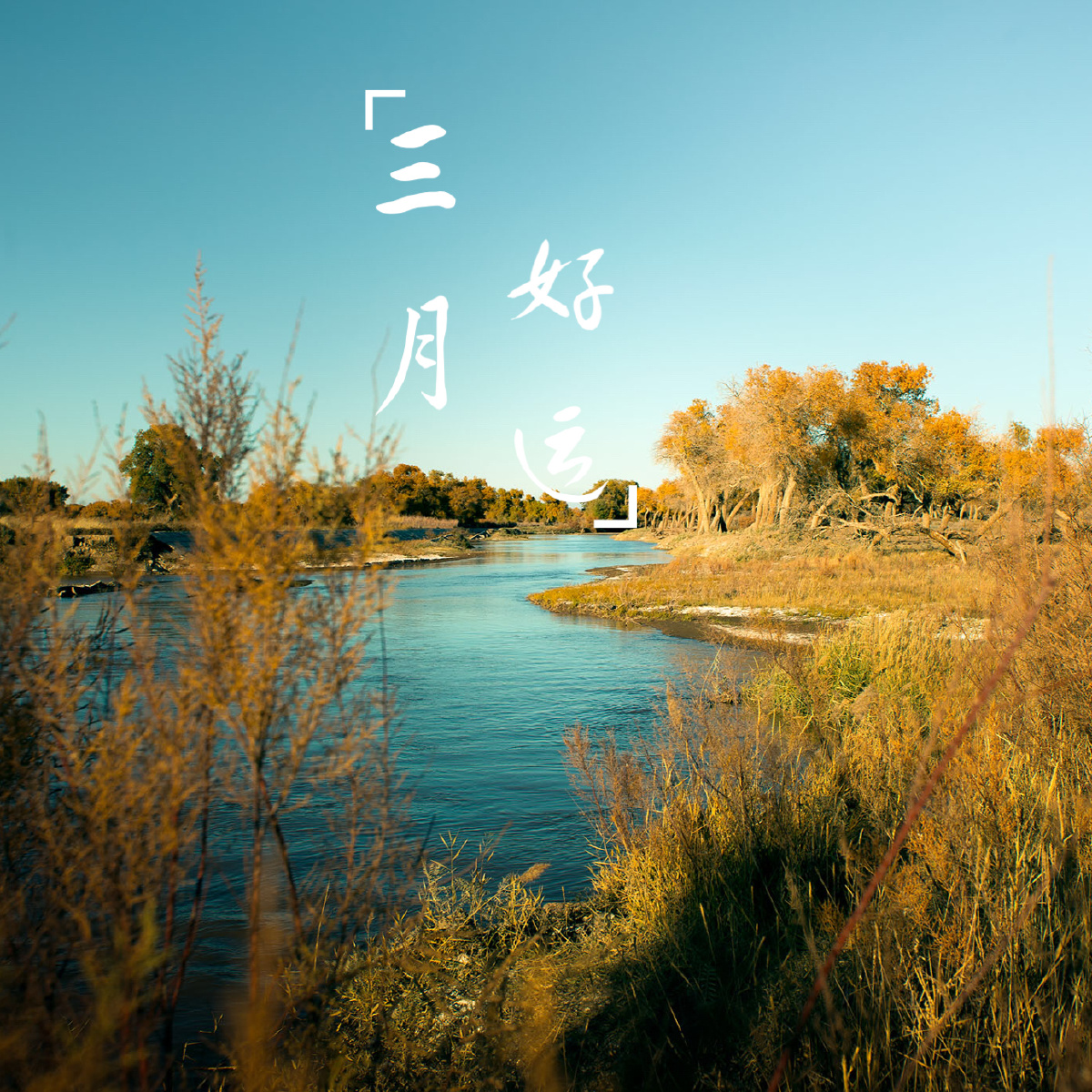 喜欢这样的秋天三月好运