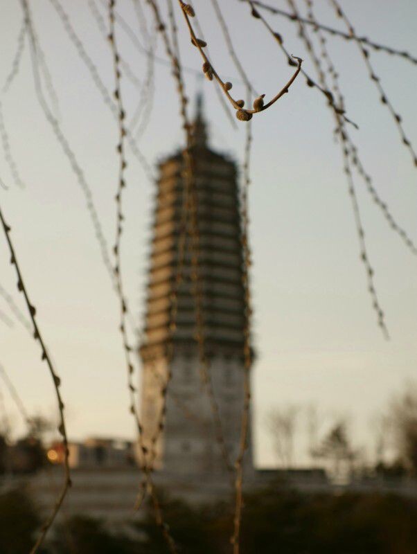 《早春》<br />
2013-04-19 使用SONY DSC-RX100拍摄<br />