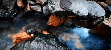 IMG_9006.JPG