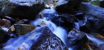IMG_9015.JPG