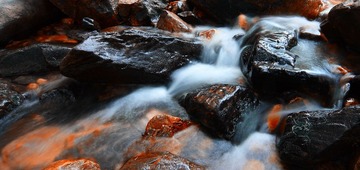 IMG_9031.JPG