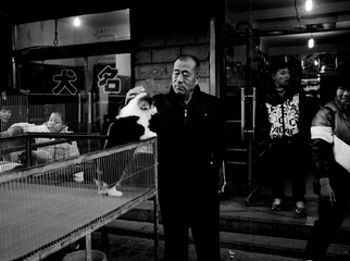 逗狗的男人