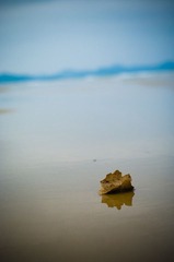 阳江海滩