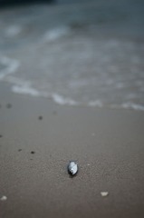 搁浅