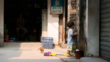 小孩与猫