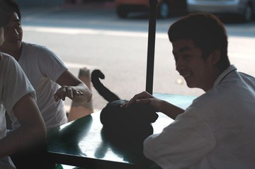 伙计与猫