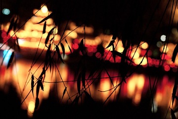 IMGP4422.jpg