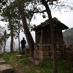 IMGP3843.jpg