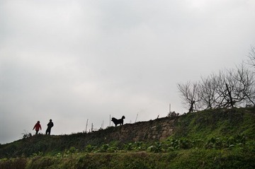 IMGP3855.jpg