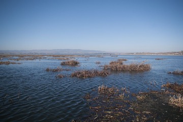 IMGP8055.jpg