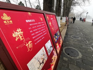 刀哥