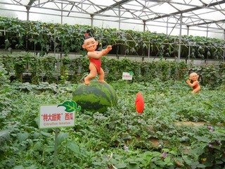 “特大甜美”西瓜.jpg