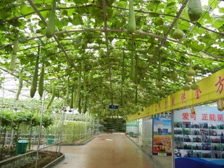 参观通道.jpg
