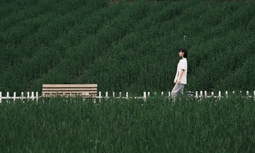 D7A64670-1F5C-43EE-A33E-96E1BB7BE760/L0/001