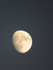 657BF77C-E649-45EC-BD61-E75B22206FD9/L0/001