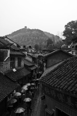 IMGP1043.jpg