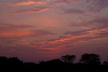 _DSC8028