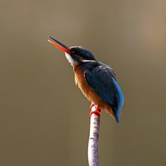 1396571