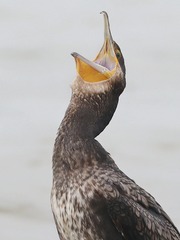 759361