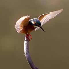 1396570