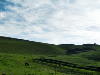 989030