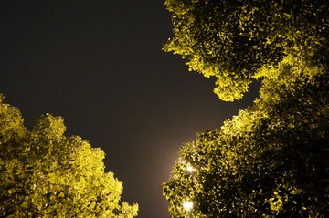 夏夜喜雨