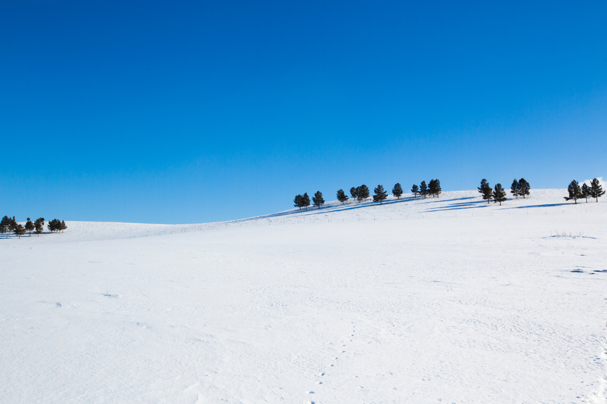 内蒙古呼伦贝尔,天蓝的刺眼,雪白的刺眼,纯自然的颜色