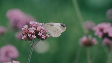 C6857908-7E79-41C7-ABAC-11E68DAAA040/L0/001