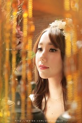 SAM_3174