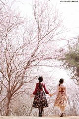 SAM_6002
