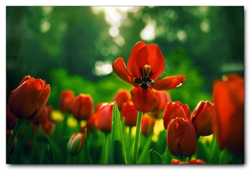 IMG_1068--