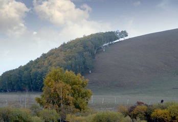 800DSC_2609a