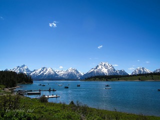 IMG_3365.jpg