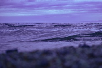 20017
