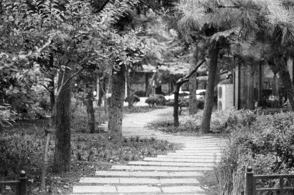 盘延<br />