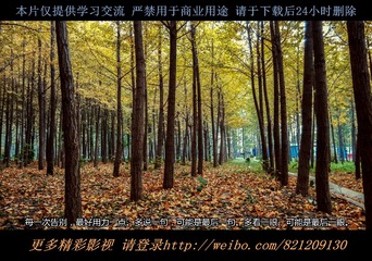 20141028-C360_2014-10-28-15-23-14-862