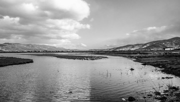 DSC01994-2