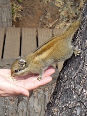 DSC02165.JPG