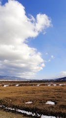 20110219云南香格里拉 (8).JPG