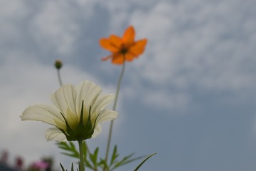 96405