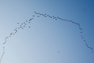60170